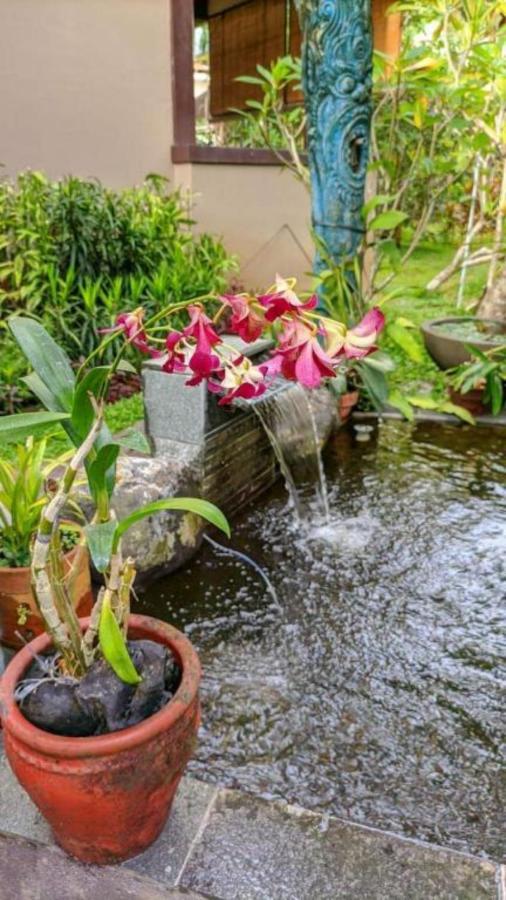 Indraprastha 2 Bungalow Ubud Exteriér fotografie