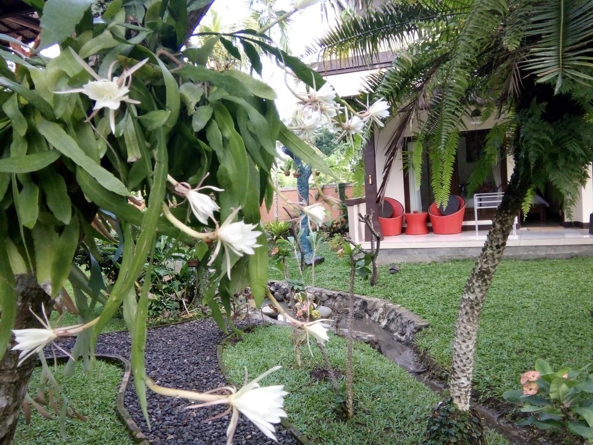 Indraprastha 2 Bungalow Ubud Exteriér fotografie